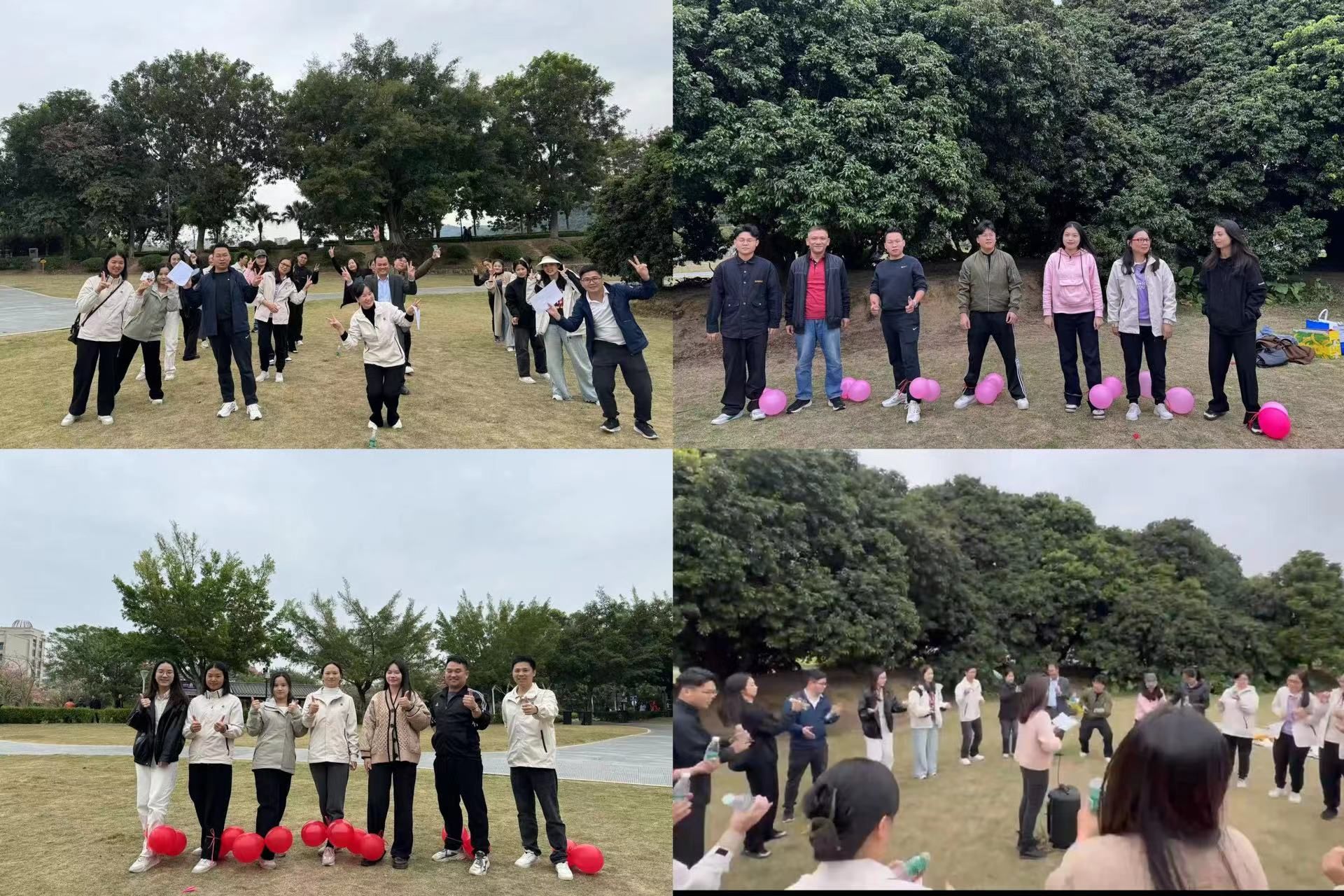 素质拓展活动 素质拓展活动